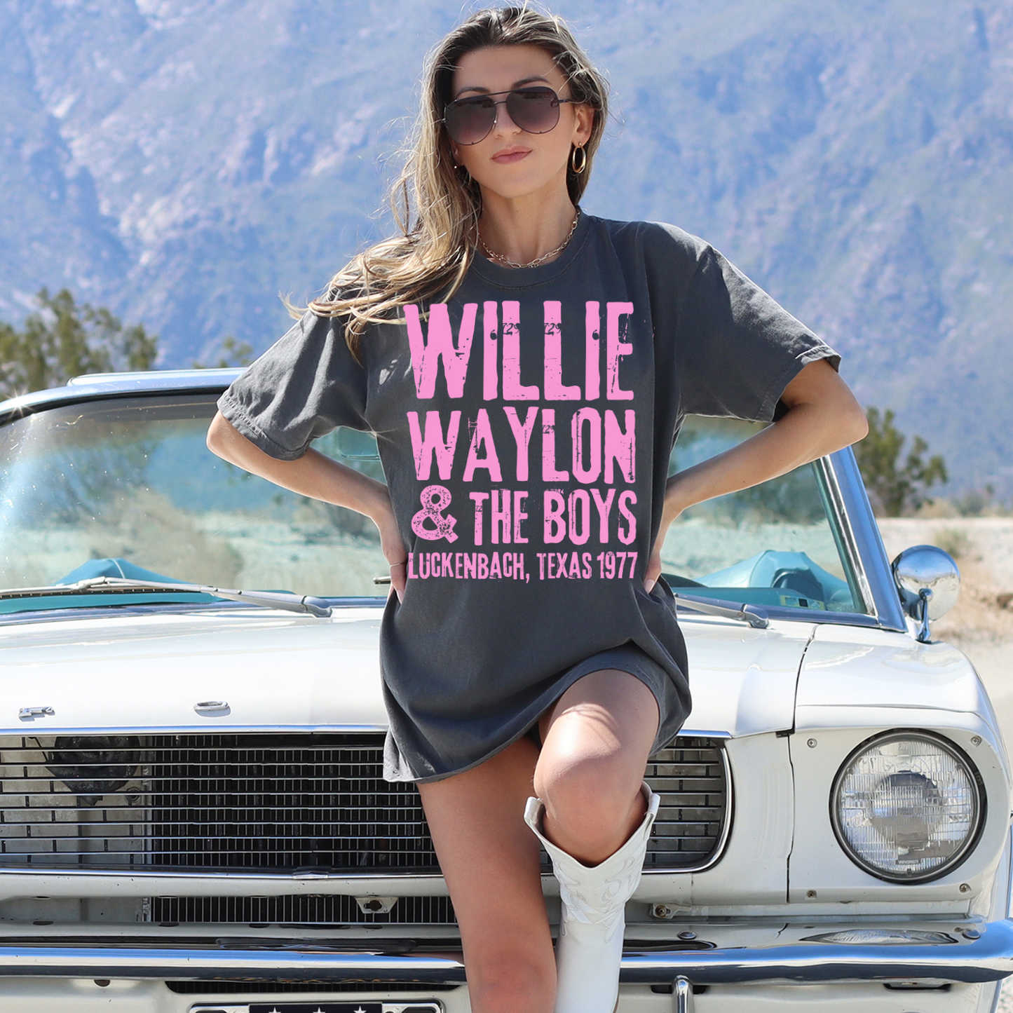 Willie Waylon and the Boys Luckenbach Texas